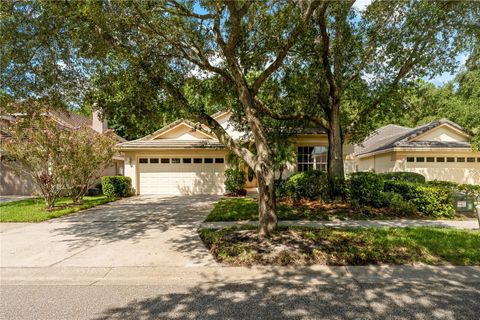 A home in TAMPA