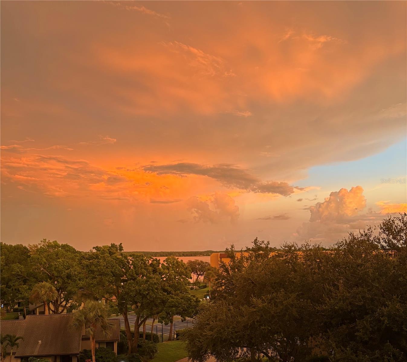 LAKE TARPON SAIL & TENNIS CLUB 3 - Residential