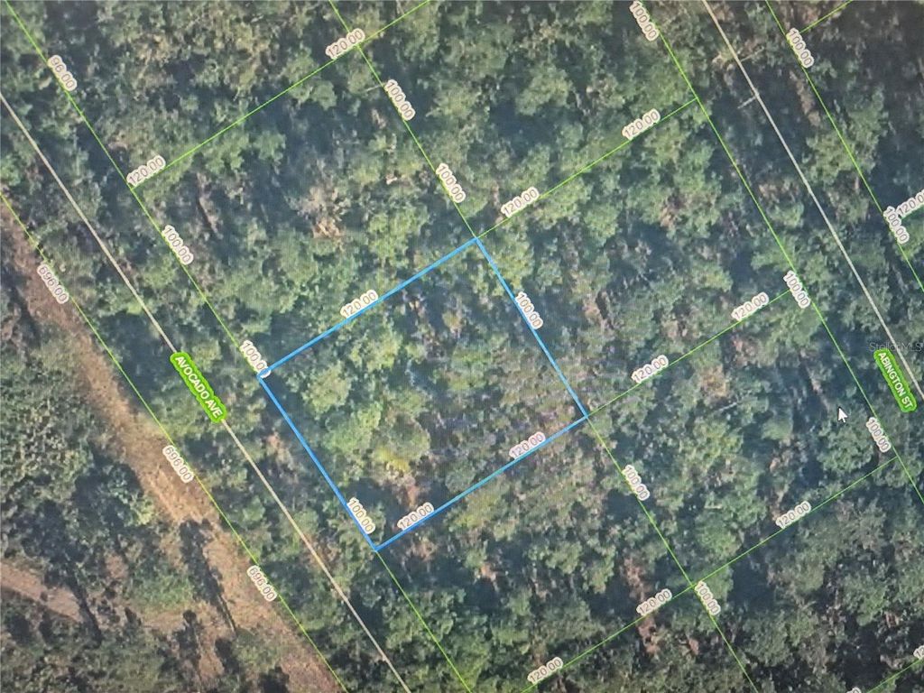 Photo of 3160 Avocado Avenue, Sebring, FL 33875 (MLS # O6426871)