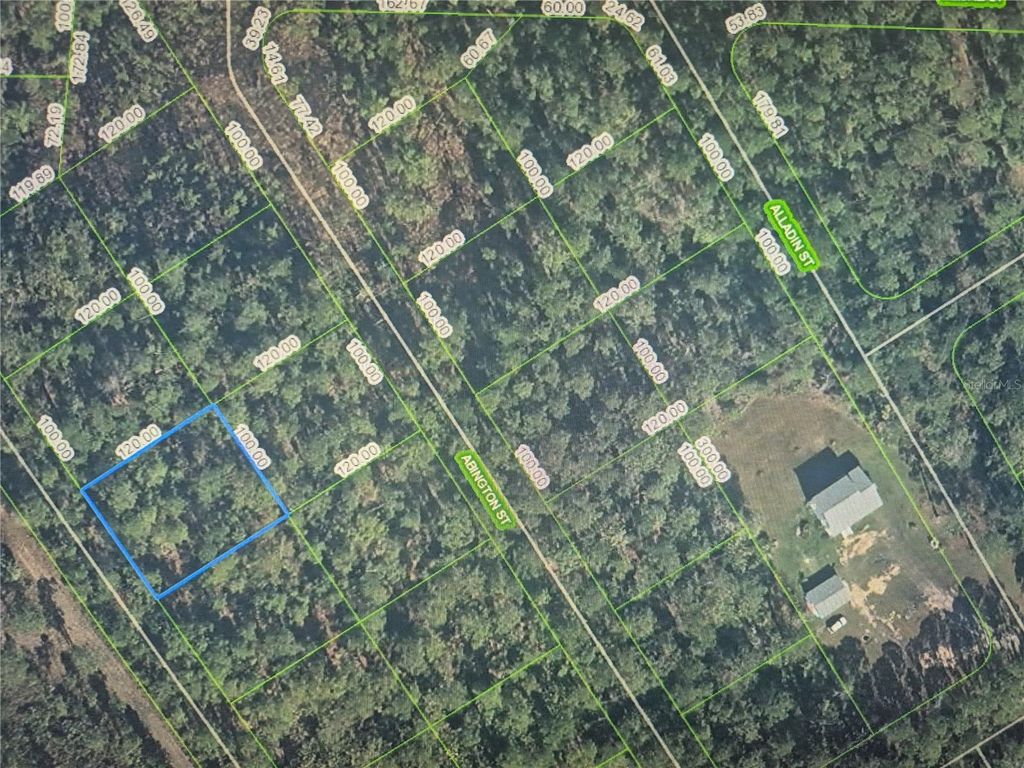 Photo of 3160 Avocado Avenue, Sebring, FL 33875 (MLS # O6426871)