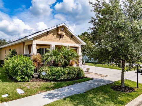 A home in WESLEY CHAPEL