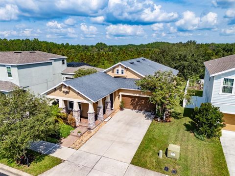 A home in WESLEY CHAPEL