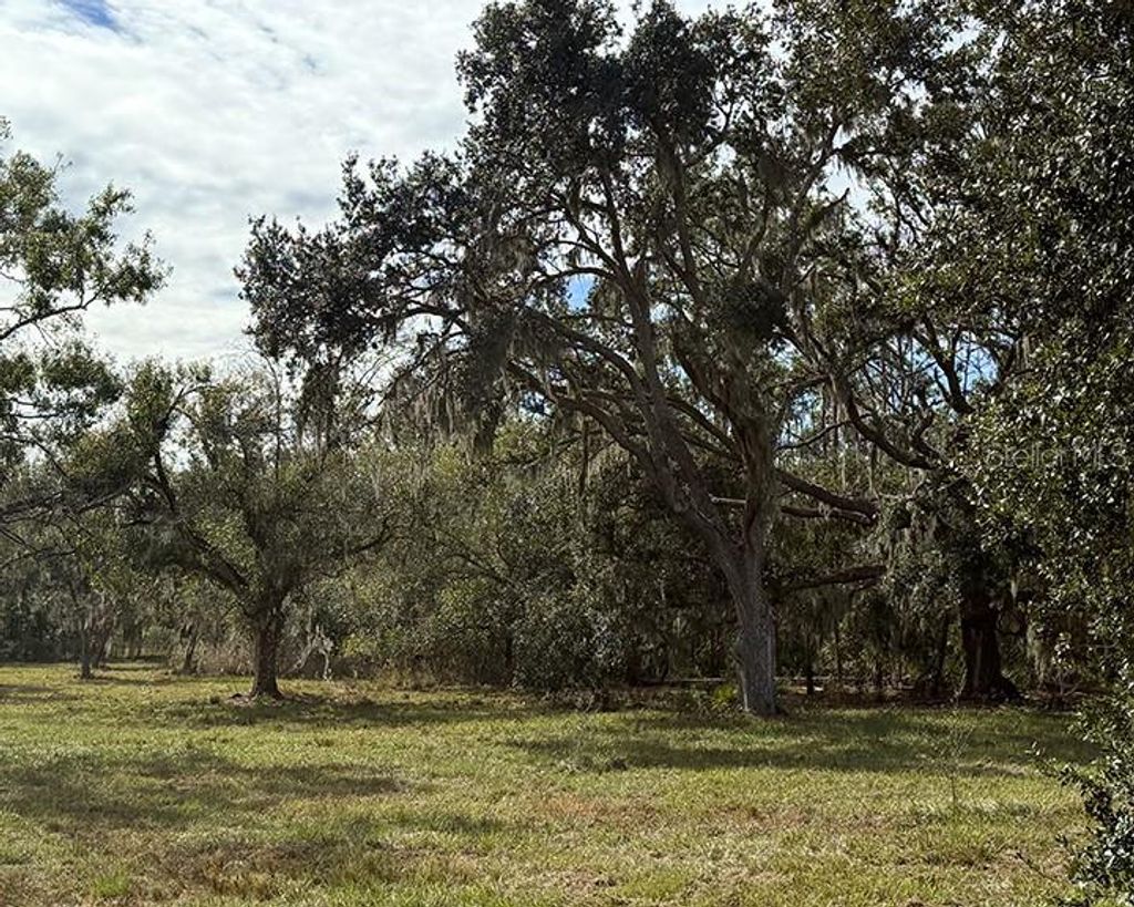 Photo of Sr-70 E, Myakka City, FL 34251 (MLS # A4674452)