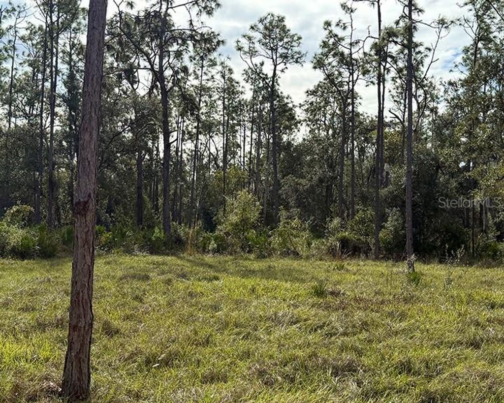 Photo of Sr-70 E, Myakka City, FL 34251 (MLS # A4674452)