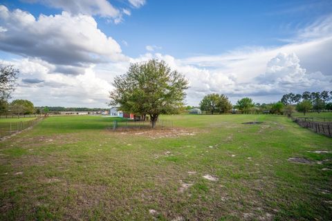 Tiny photo for 8009 Sergeant Pepper Dr, Howey In The Hills, FL 34737 (MLS # G5108930)