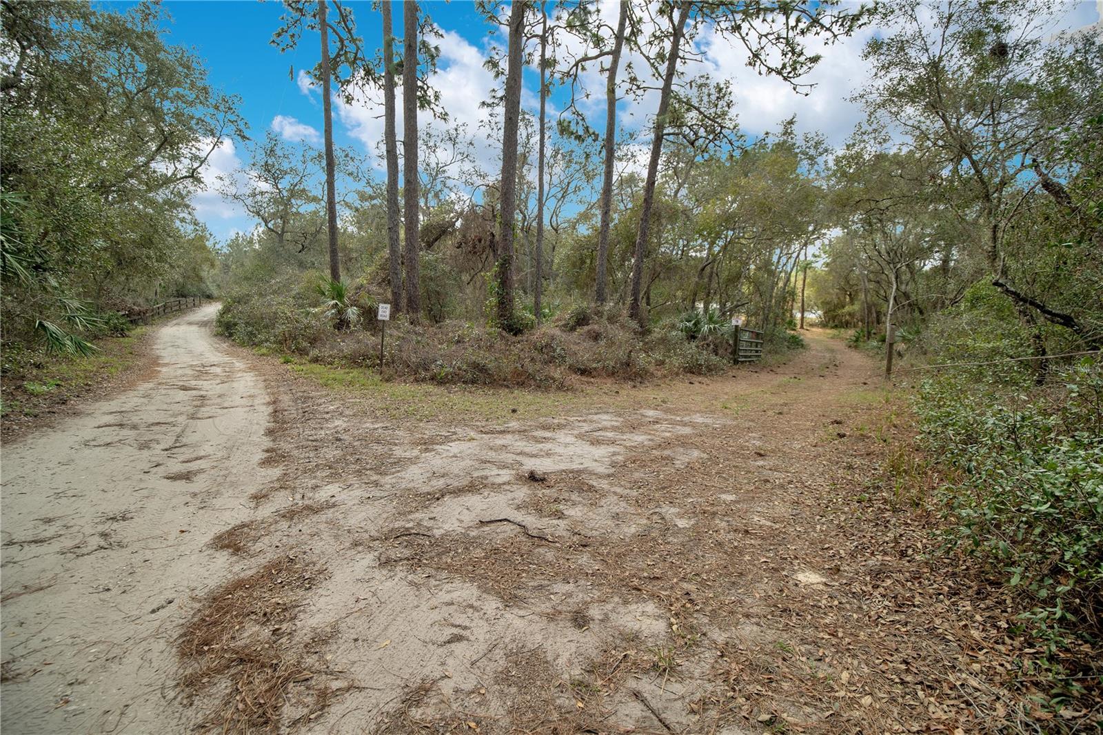 875 GATOR LANE