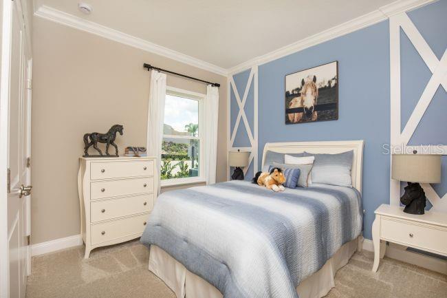 RESERVES AT HAMMOCK OAKS - Residential