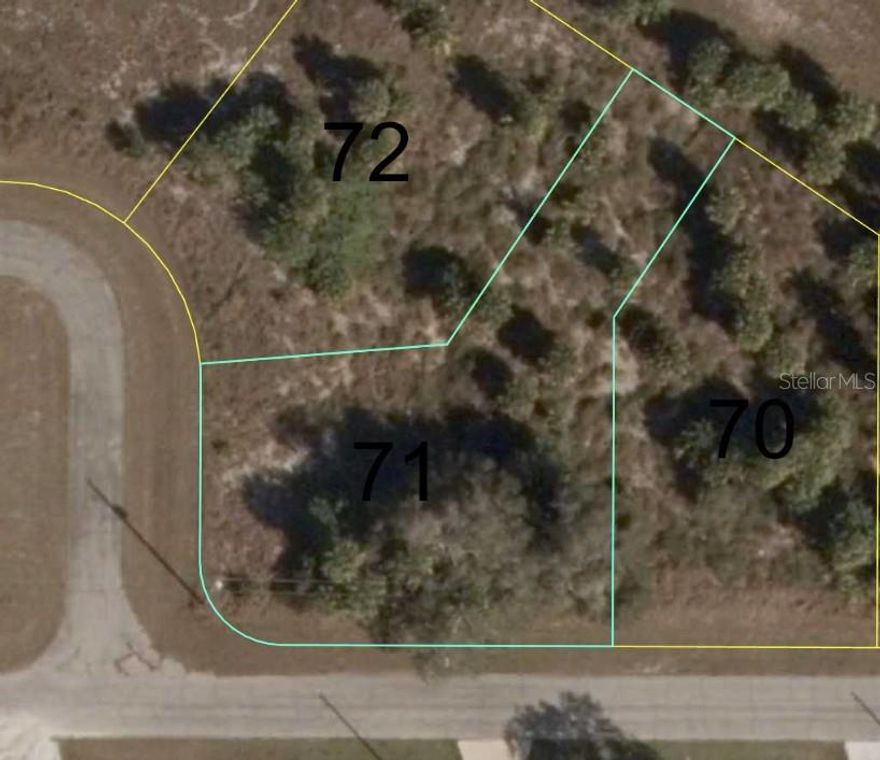 ***PUBLIC WATER***CORNER LOT***Discover the perfect blend of peace and privacy with this beautiful vacant lot on Argosy Road, located in the heart of LaBelle, Florida. Surrounded by nature and situated in a quiet, residential neighborhood, this property offers a fantastic opportunity to build your custom home or invest in future growth. This lot features public water (no well needed), no HOA fees, and is a short drive to Fort Myers, the Gulf Coast, and Lake Okeechobee! This lot is ideal for those looking to settle down in a peaceful, up-and-coming community or for investors seeking land in a growing region. Make your move now!