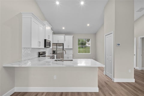Tiny photo for 1120 Chestnut Street, Clermont, FL 34711 (MLS # O6448710)