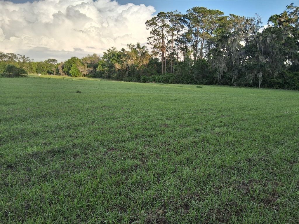 Photo of 1613 NE 12th Avenue, Summerville, FL 33585 (MLS # G5110708)