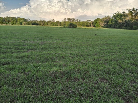 1613 NE 12TH AVE, SUMTERVILLE, FL 33585 - Image ffba894f07b58bfb101792560f2bdade/3704241517