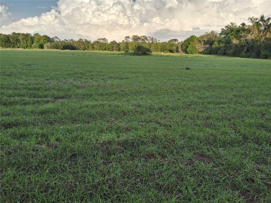 Incredible opportunity waiting just for you!  Prime, cleared, high and dry 10+ acres with power pole and well (not connected), in Flood Zone    
X on a paved road zoned Agricultural providing a tax savings and lots of potential, maybe a family estate, farm, or a long-term investment.  The property is partially fenced with a 60 foot wide easement to the property from NE 12th Avenue and backs up to approximately 65 acres owned by the State of Florida Water Management District.  Easy access to I-75, the Florida Turnpike, and just a few miles South of The Villages.