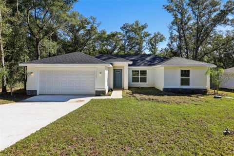 Photo of 10687 N Adler Drive, Citrus Springs, FL 34434 (MLS # O6353101)