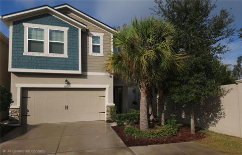 5841 GRAND SONATA AVENUE LUTZ FL 33558