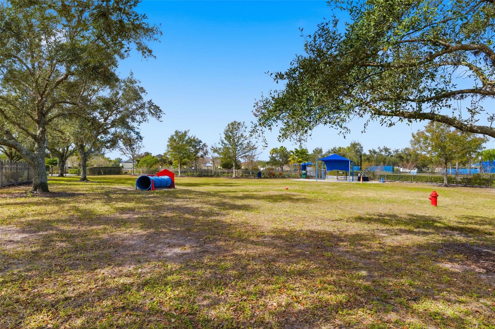 CENTRAL PARK SUBPHASE A-2A - Residential