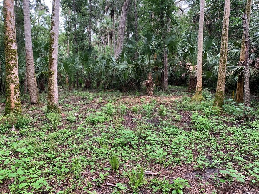 If you are looking for a buildable lot in New Smyrna Beach, this is a great option!  Step back in time to "Old Florida" to find this property that is larger than most in the area.  With almost 2 acres of this property being wetlands, it leaves you a beautiful buffer zone between you and any potential neighbors on 2 sides.  With .53 acres being uplands, you have plenty of room to build your dream home, a large garage, store your toys and even have a pool in one of the most sought-after and most established communities in New Smyrna Beach.  Hop on 44 for a straight shot to the beach or get on I-95 for an easy commute north or south.; Cleared: No