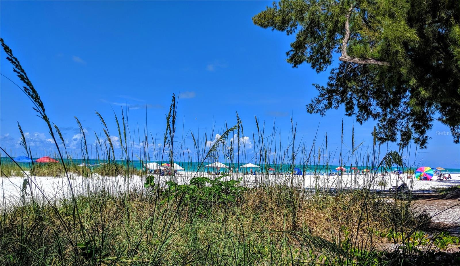 BAYSHORE ON THE LAKE APTS II SEC 1 - Residential