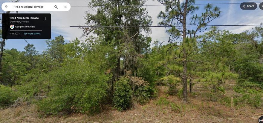 1 ac; Asphalt paved; need onsite well and septic, (not public water or sewer); Flood zone X; No HOA fee. Parcel ID 18E17S06021A 000B0 0170 Unleash Your Imagination on This Prime 1-Acre Lot! This high-and-dry property is a rare gem with no HOA and no deed restrictions-giving you total freedom to build, invest, or create your own private escape. Whether you're dreaming of a custom home, a weekend getaway, or a smart land investment, this versatile lot is your blank canvas. Surrounded by nature yet close to everything, you'll enjoy easy access to Suncoast Parkway, Rainbow River, Lake Rousseau, Crystal River, plus shopping, hospitals, and restaurants-all while soaking in the peace and quiet of country living. Opportunities like this don't last-make your move before someone else does!  It is located closer to downtown Dunnellon, Minutes to Rainbow Springs and Rainbow River recreation and boating. Only 20 minutes to Crystal River; 20 minutes to Ocala. 7 minutes to shopping! Hurry as this one will go fast due to good location and lowering interest rates boosting purchasing activities. 

South side is a dry retention pond, a premium feature as no neighbor on south side!