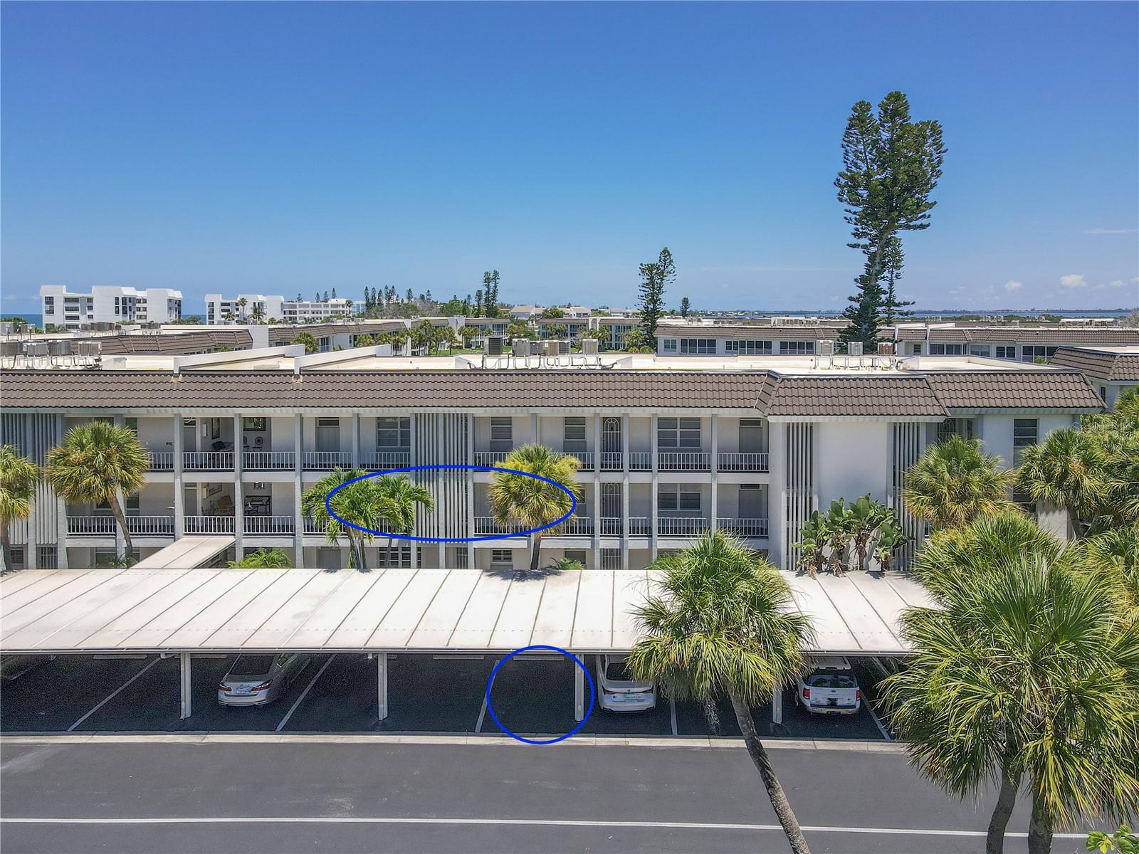 4340 FALMOUTH DRIVE D-204