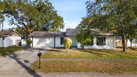 A home in TAMPA