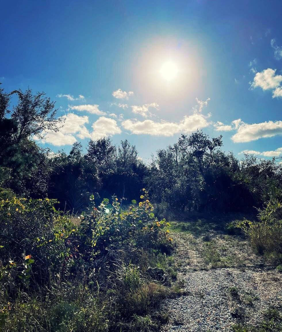 PORT CHARLOTTE SEC 081 - Land