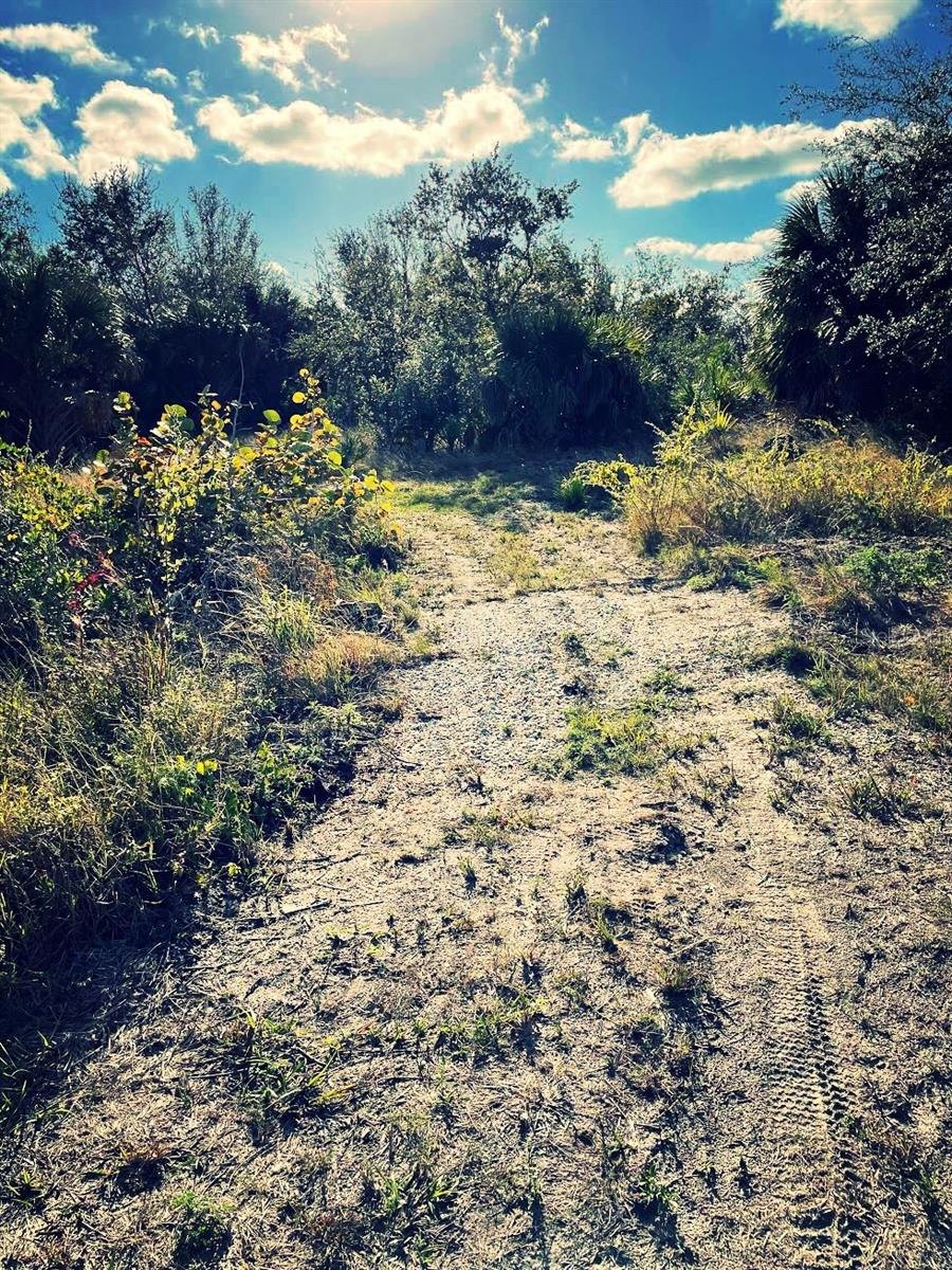 PORT CHARLOTTE SEC 081 - Land