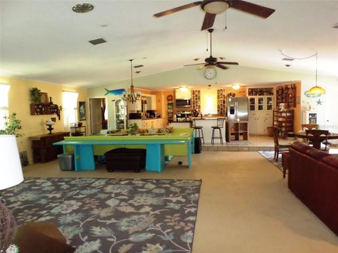 Tiny photo for 6005 Highway 40 W, Yankeetown, FL 34498 (MLS # OM723937)