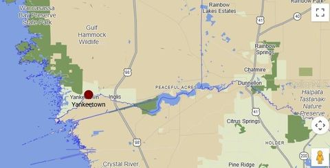 Tiny photo for 6005 Highway 40 W, Yankeetown, FL 34498 (MLS # OM723937)