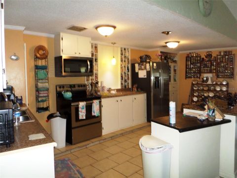Tiny photo for 6005 Highway 40 W, Yankeetown, FL 34498 (MLS # OM723937)