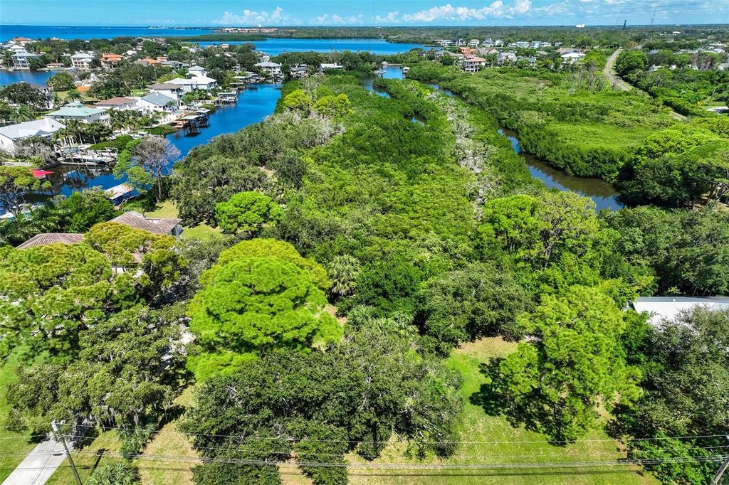 Photo of Sage Road, Palm Harbor, FL 34683 (MLS # TB8475472)