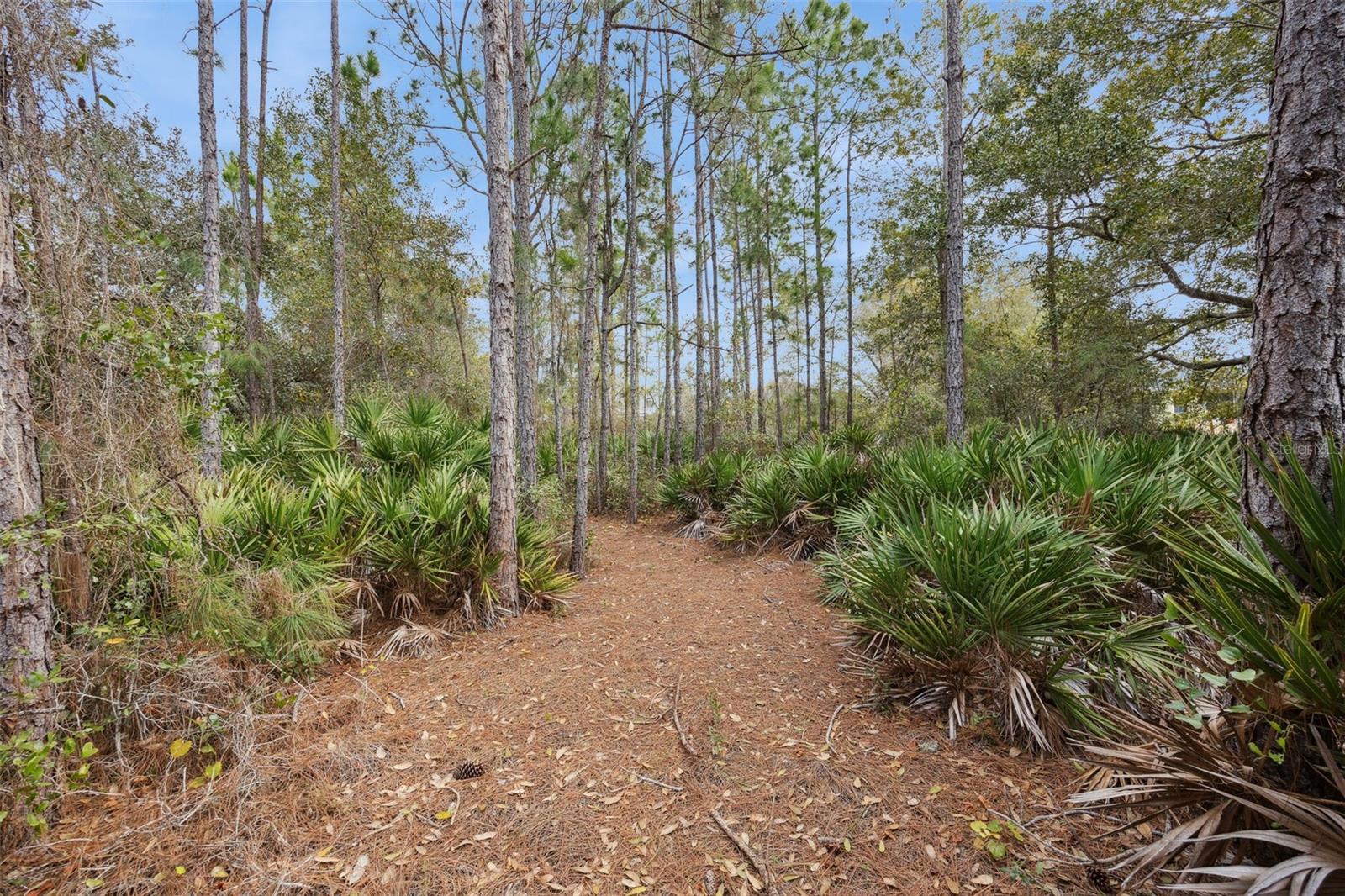 BAY LAKE RANCH UNIT 3 - Residential