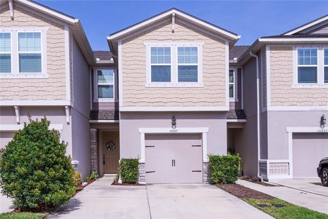 14245 DAMSELFLY DRIVE TAMPA FL 33625