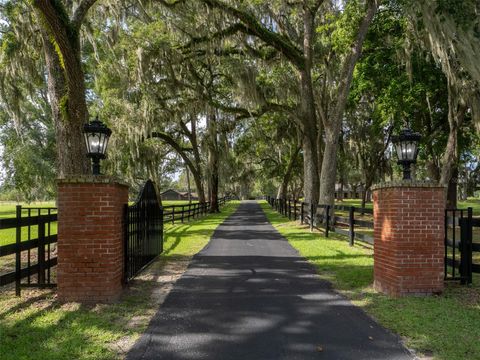 Tiny photo for 15964 W Highway 318, Williston, FL 32696 (MLS # OM710926)