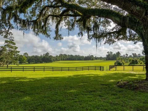 Tiny photo for 15964 W Highway 318, Williston, FL 32696 (MLS # OM710926)