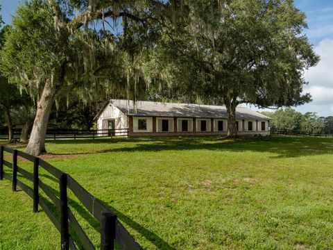 Tiny photo for 15964 W Highway 318, Williston, FL 32696 (MLS # OM710926)