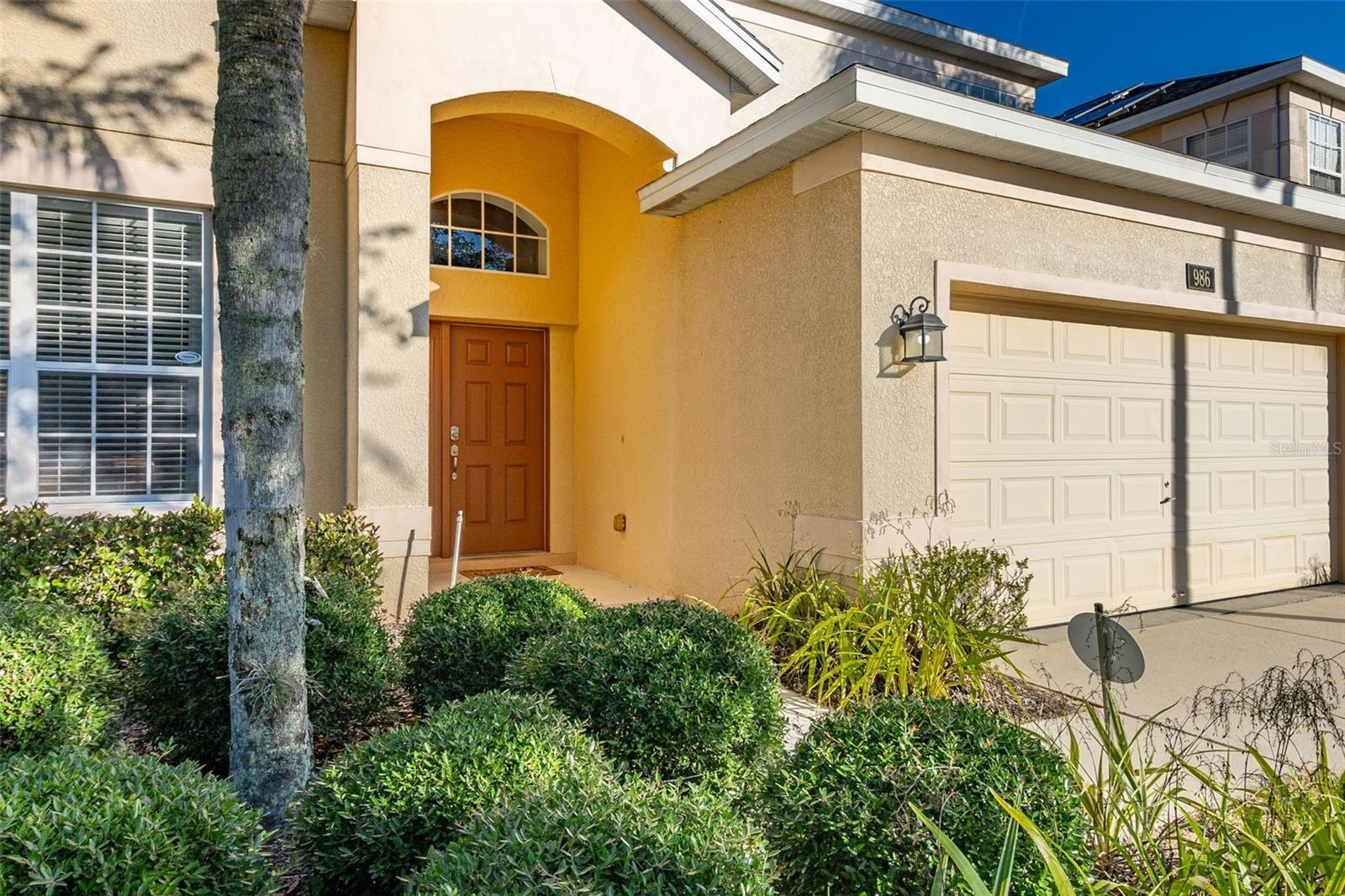 986 ORANGE COSMOS BOULEVARD