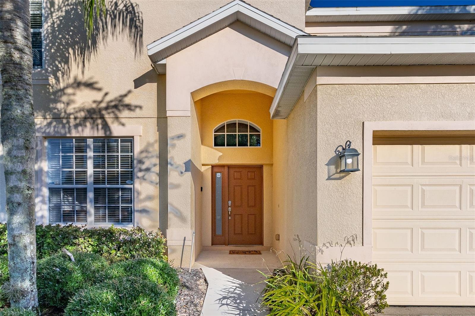 986 ORANGE COSMOS BOULEVARD