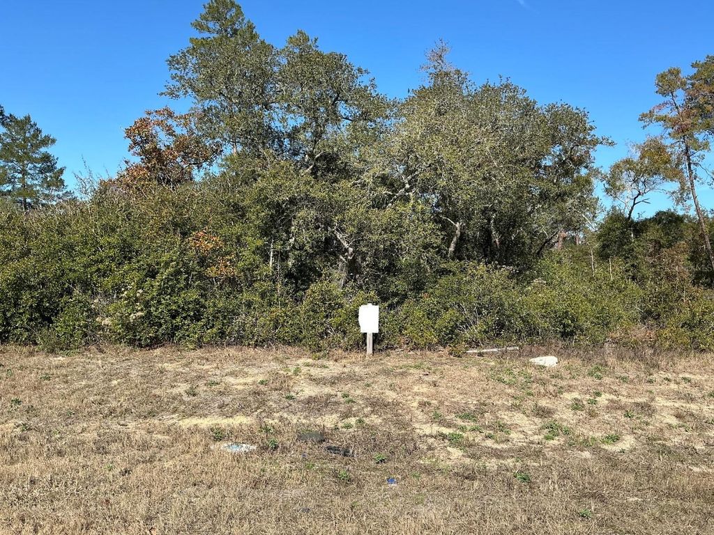 Photo of 0 SW 165th Loop, Ocala, FL 34473 (MLS # OM714271)