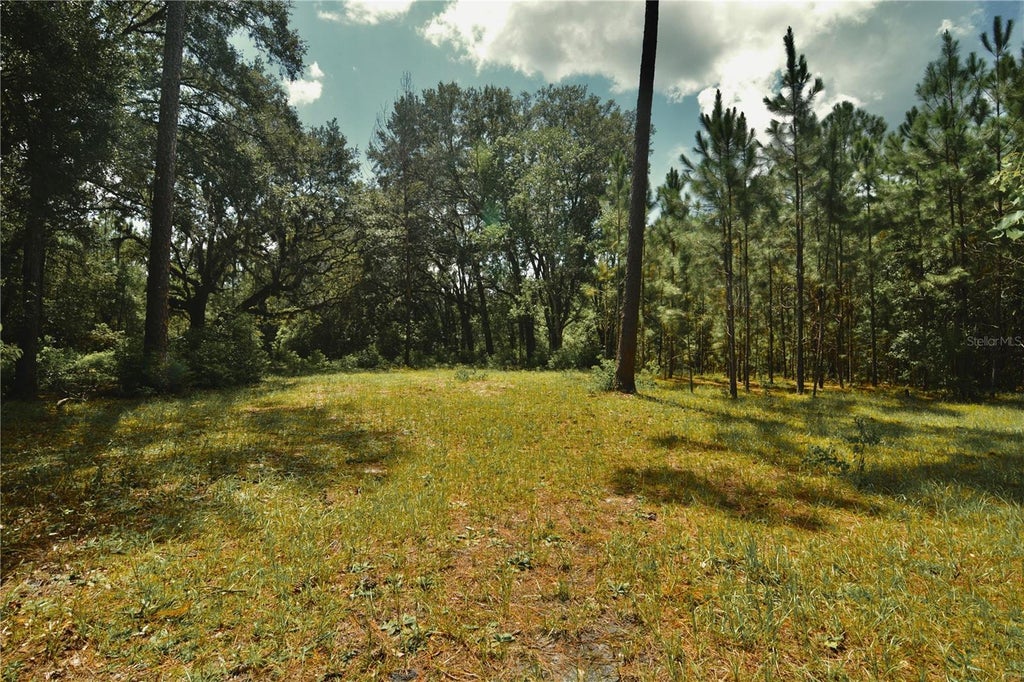 Photo of 18709 NE Us Highway 301, Waldo, FL 32694 (MLS # OM731377)
