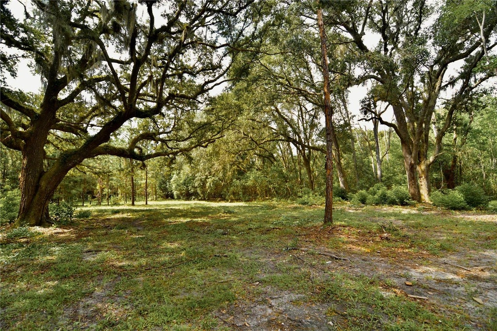 Photo of 18709 NE Us Highway 301, Waldo, FL 32694 (MLS # OM731377)