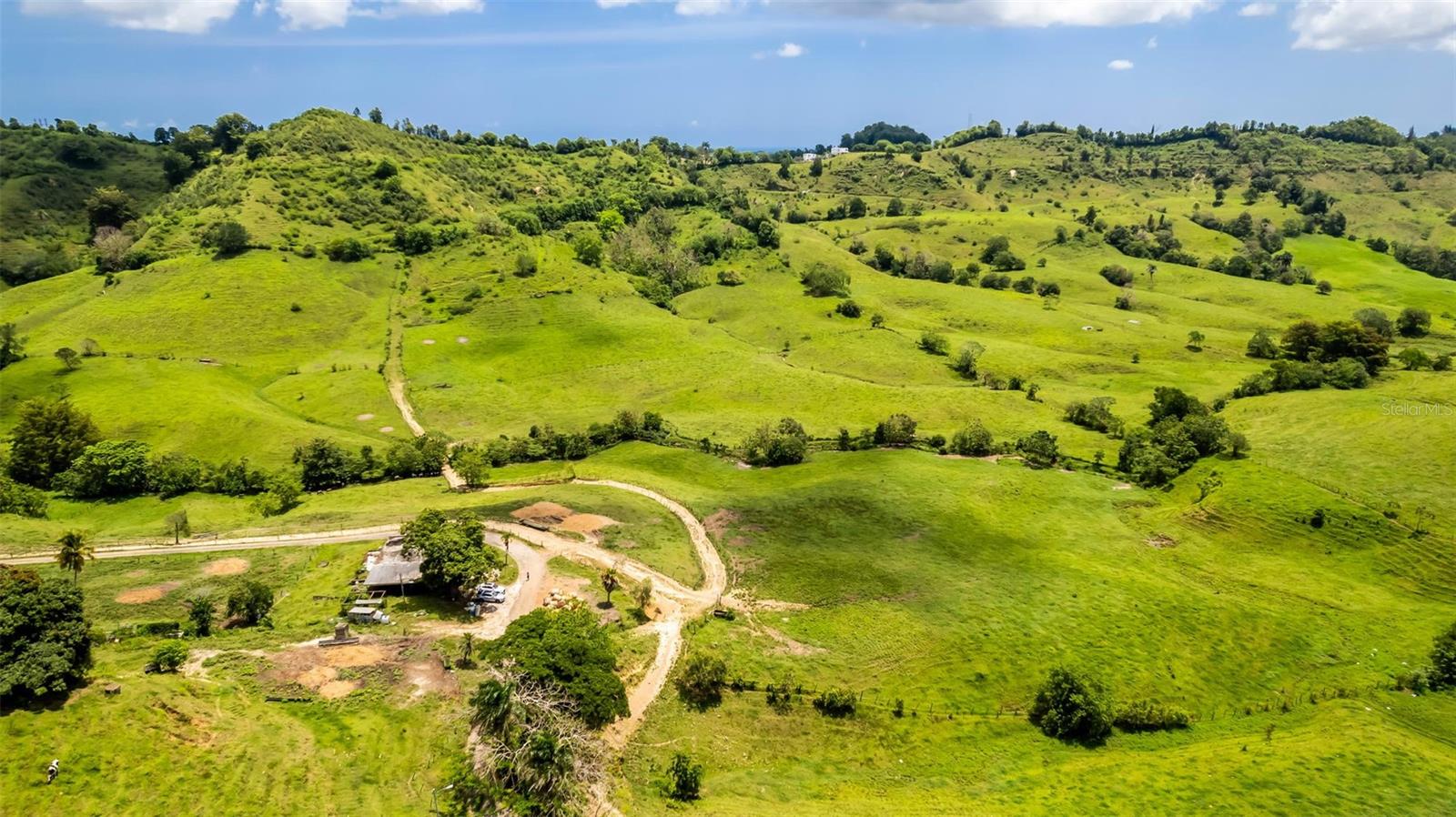 Exceptional property consisting of four contiguous parcels of land totaling 145 cuerdas (approximately 140.8 acres). Features two separate entrances and is strategically located just 15 minutes from Expressway PR-22, ensuring convenient access for both commercial and residential use.
Currently operated as a fully functioning dairy farm, the property may be purchased as a standalone land asset or as an ongoing business operation, which includes land, facilities, livestock, and machinery. Interested parties may request additional information such as financial statements, payroll records, and standard operating procedures. Pricing for the complete business operation is available upon request.
Zoned as Agricultural Productive with permitted uses including, residential (up to 8 residences across the four lots), guesthouses, bed and breakfast establishments, short-term rentals, eco-tourism, agricultural and farming, processing and manufacturing of agricultural goods or medicinal agricultural products.
This is a rare opportunity for investors, farmers, and developers alike.
For inquiries or to schedule a site visit, please contact us.
