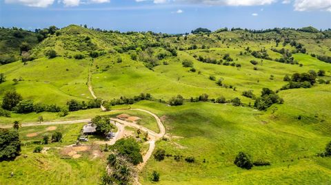 Km 1.6 633 MOROVIS  00687