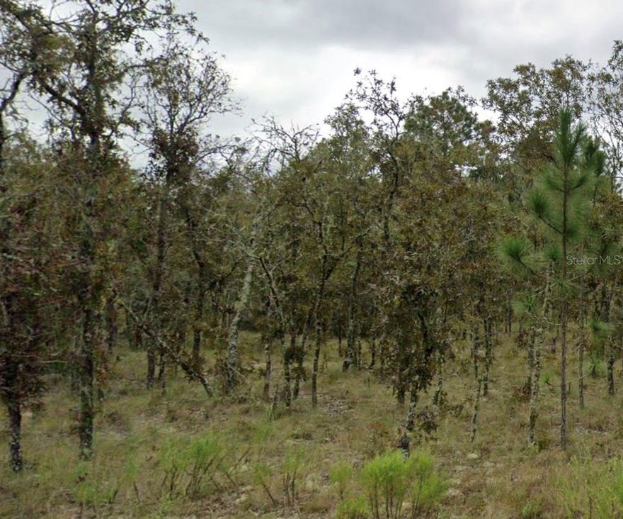 Build your custom dream home in beautiful Williston Highlands Golf and Country Club Estates! This peaceful golf community is centrally located within minutes of Ocala and Gainsville. Near Orlando, & within driving distance of the Gulf. Buyer is responsible for, but not limited to verifying lot dimensions, presence of wetlands, utilities, scrub-jays, & tortoise restrictions.