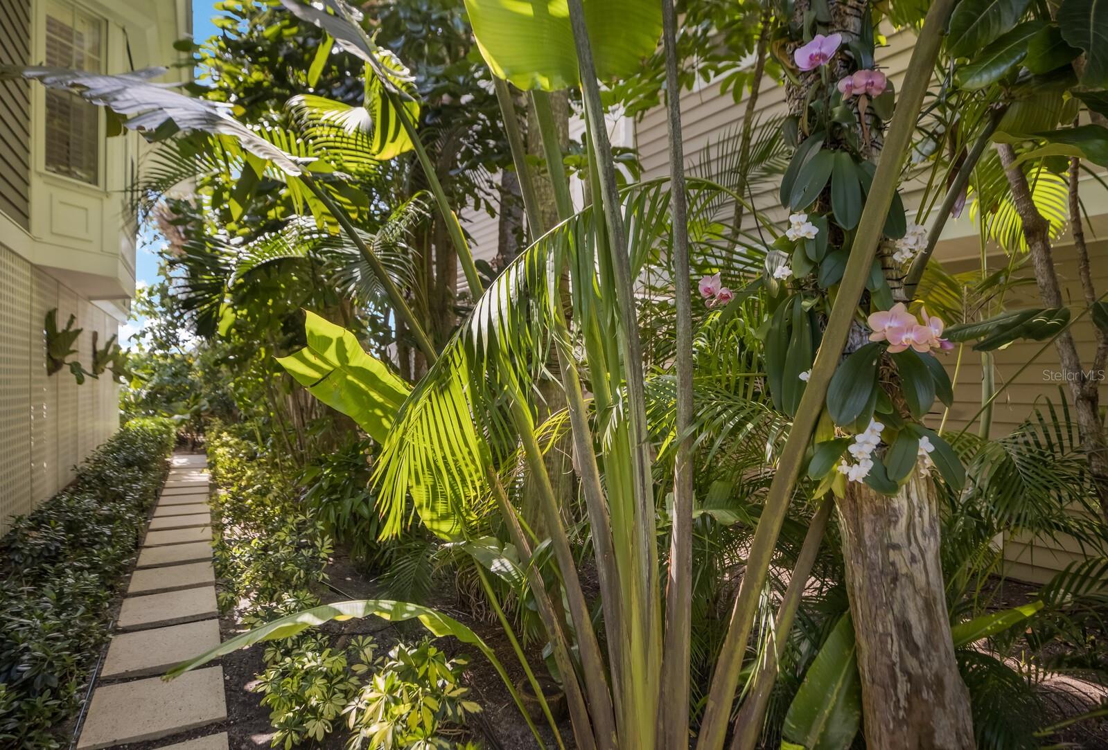 SOUTH BAY SUB - Residential