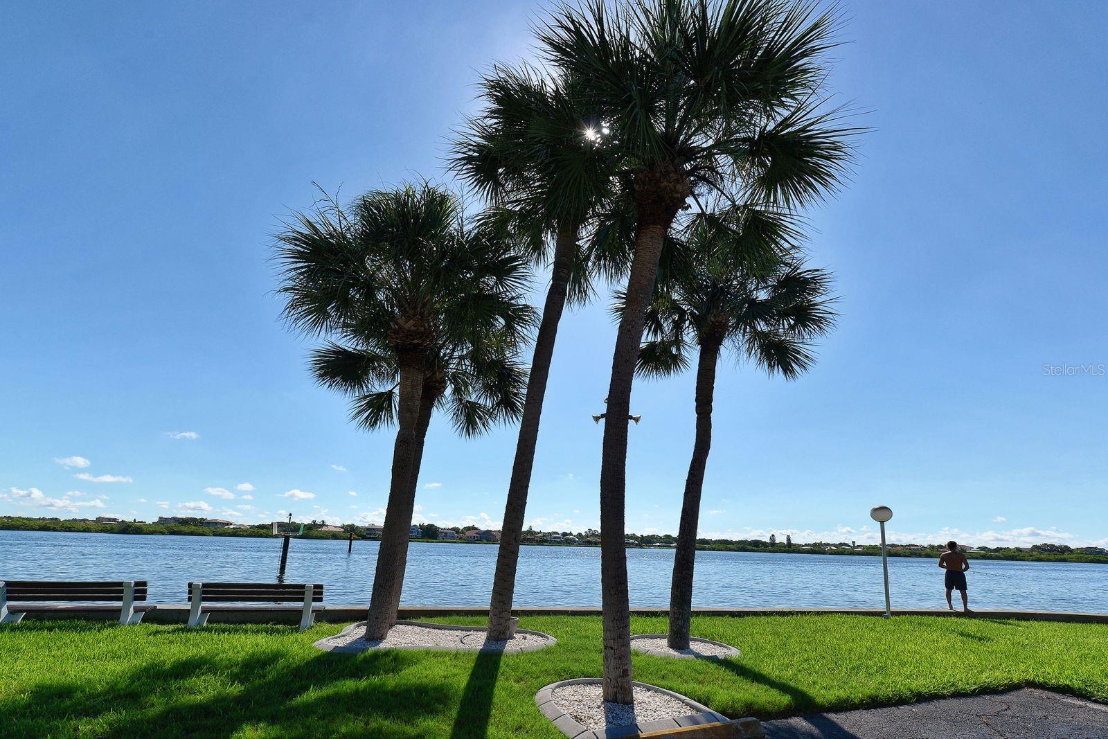 HARBOR TOWERS Y & R - Residential Lease