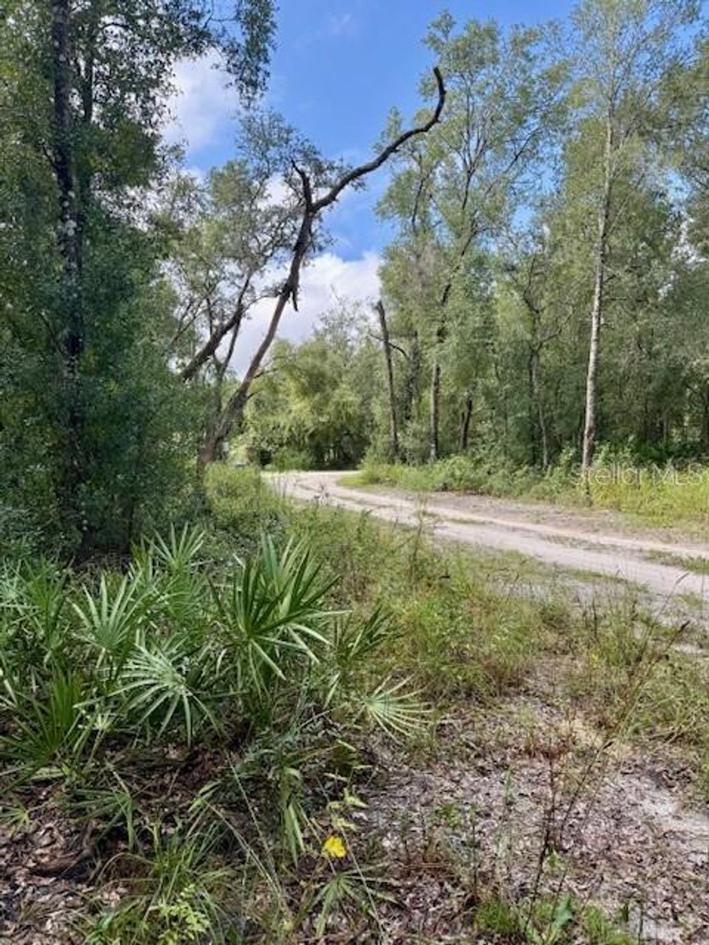Photo of 0 Gresham Road, Webster, FL 33597 (MLS # W7879404)