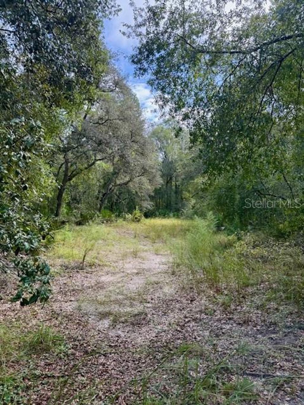 Photo of 0 Gresham Road, Webster, FL 33597 (MLS # W7879404)