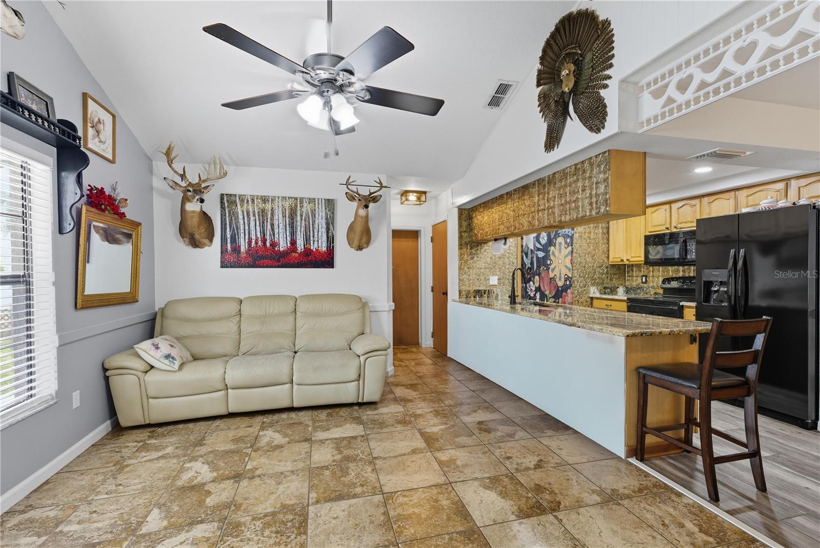 VIVA VILLAS 1ST ADD - Residential