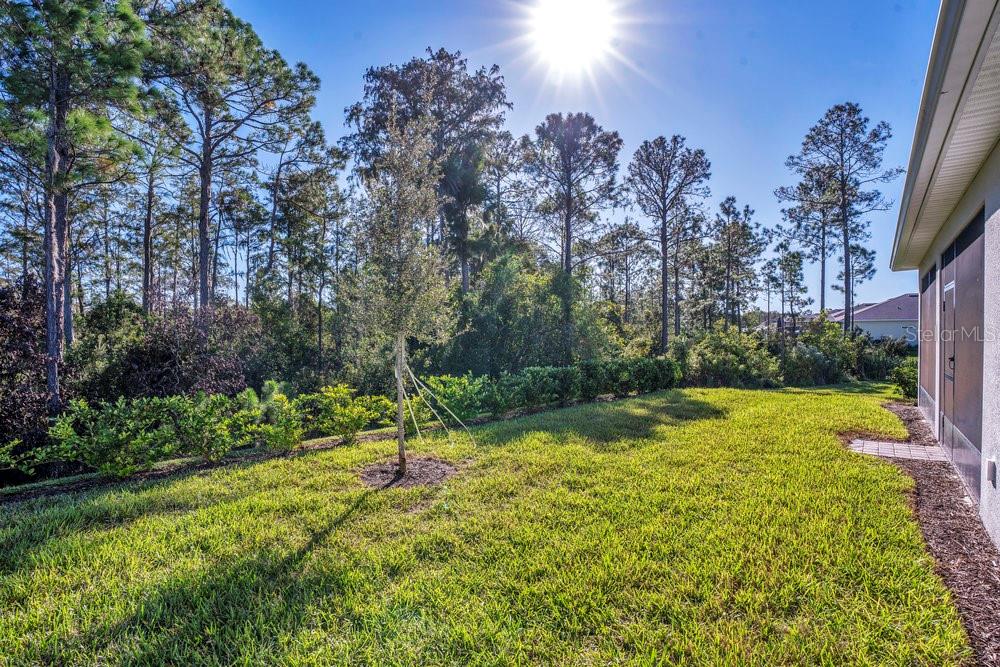 DEL WEBB SUNBRIDGE PH 2A - Residential