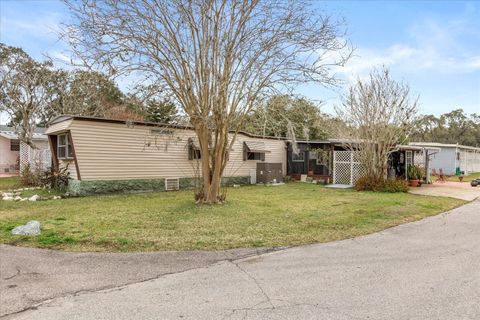 Photo of 1960 Pinewood Lane, Mount Dora, FL 32757 (MLS # O6385120)